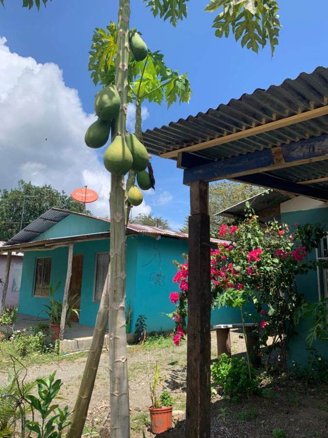 Alba House Villa Puerto Jimenez Exterior photo